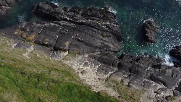 Seaside South Ireland Beautiful Coast Celtic Sea Sunny Day Aerial — Stock Video