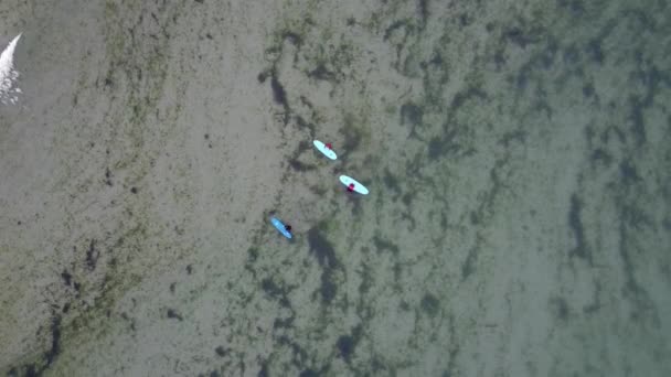 Three Surfers Surface Water Expecting Big Wave View Top Water — Wideo stockowe