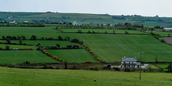 Buildings Fields South Ireland West Cork Agricultural Landscape Picturesque Irish — Foto de Stock