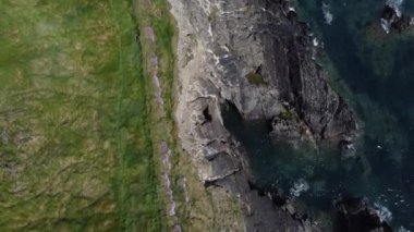 Thick green grass on the shore of the Celtic Sea in Ireland. Seaside landscape, footage from a drone in full hd format. The blue waves of the Atlantic.