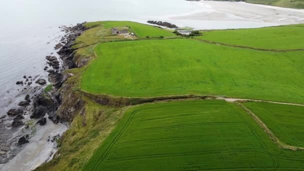 Green Fields Coast Ireland Top View Agrarian Irish Landscape Coast — 비디오