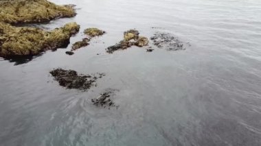 Rocky shore, top view. Calm water surface, small ripples on the water. Coastal rocks.