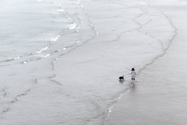 A girl walks with her dog along the seashore, aerial view. The owner and his pet are walking on the waves.