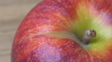 The big red apple is spinning, close-up video. Video in full hd format. Macro image of apple.