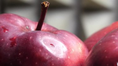 Big red apples of the Red Chief variety. Drops of water on the apple peel. Apple close-up.