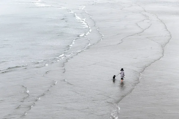 Girl Walks Dog Seashore Aerial View Owner His Pet Walking — 스톡 사진