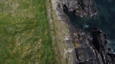 Thick green grass. Seaside landscape, footage from a drone in full hd format. The blue waves of the Atlantic.