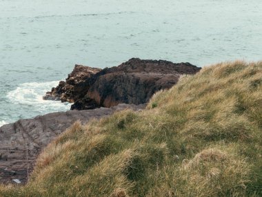 Deniz kıyısındaki kayaları sert otlar kaplıyor. Kıyı kayaları. Deniz Burnu, su kütlesinin yanında kaya oluşumu..