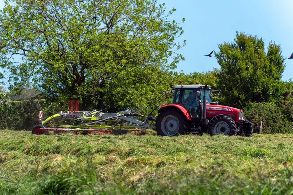 West Cork, İrlanda, 28 Mayıs 2022. Bir traktör hayvan için saman toplar. Bir kaplıcada tarım işindeyim, tarım işindeyim. Yeşil çimenlikte kırmızı ve siyah traktör