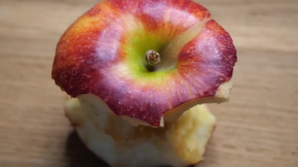 大きなリンゴのスタブ 半分の1つの赤いリンゴのクローズアップを食べた ガラ品種のリンゴのコア — ストック動画