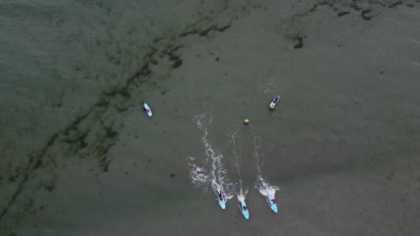 West Cork Irsko Července2022 Novic Surfaři Snaží Jezdit Vlně Spadnout — Stock video