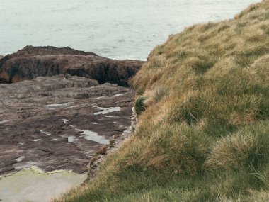 Kıyıdaki kayaları sert otlar kaplıyor. Kıyı kayaları. Deniz Burnu, su kütlesinin yanında kaya oluşumu..