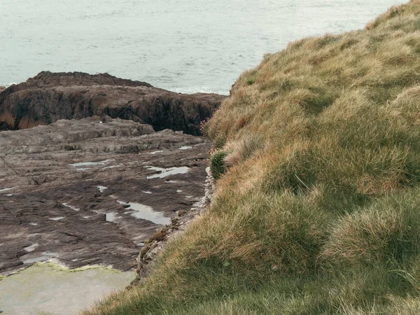 Kıyıdaki kayaları sert otlar kaplıyor. Kıyı kayaları. Deniz Burnu, su kütlesinin yanında kaya oluşumu..