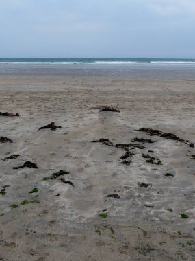 Kumlu bir sahilde yosun. Atlantik kıyısında bulutlu bir hava. Minimalist deniz manzarası, denizin üstündeki ufuk çizgisi. Bulutlu gökyüzü.