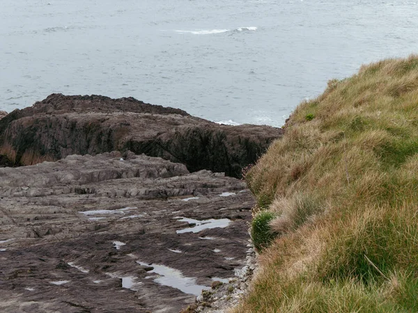 Tough Grass Rock Coastal Rocks Seascape Rock Formation Body Water — Stock Photo, Image