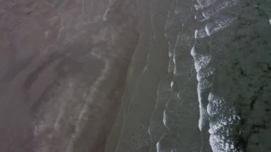 Atlantik Okyanusu 'nun gelgit dalgaları ve kumlu bir plaj, tepeden çekilmiş bir video. Deniz suyunda yeşil yosun. Kuzey Atlantik 'in serin kıyıları. Deniz Burnu.