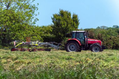 West Cork, İrlanda, 28 Mayıs 2022. Bir traktör hayvan için saman toplar. Tarım işi, bir pınarda hasat biçmek üzerine. Yeşil çimenlikte kırmızı ve siyah traktör