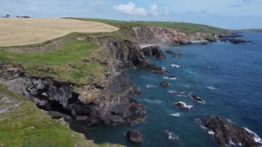 Sahildeki tarlalar. West Cork 'un manzarası. Güneşli bir günde İrlanda 'nın doğası göz kamaştırıcı. Clonakilty yakınlarında..