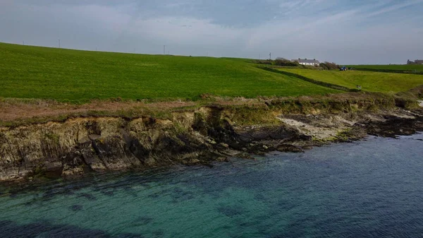 Campo Sulla Riva Rocciosa Dell Oceano Calma Superficie Del Mare — Foto Stock