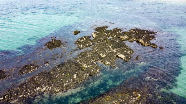 海のサンゴ礁 北大西洋の海の岩 — ストック写真
