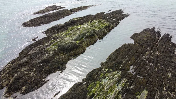 An oceanic reef. Large rocks in the sea, top view. Sea rocks in the north Atlantic Ocean. Aerial photo.