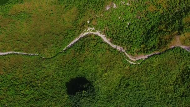 Yeşil Rlanda Tepeleri Arasındaki Patikalar Üst Manzara Güney Rlanda Nın — Stok video