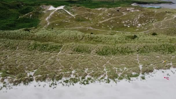 Vue Dessus Des Dunes Envahies Par Herbe Marram Côte Vallonnée — Video