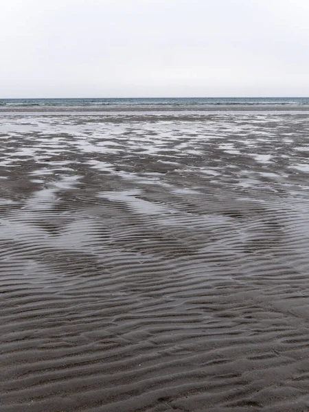 多云的日子里 在低潮的海滨湿透波浪的沙子 荒凉的海滨风景 欧洲北部的严酷性质 寒冷的海岸 — 图库照片