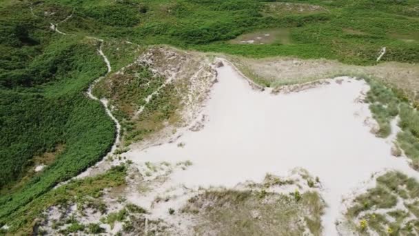 Beroemde Duinen Het Zuiden Van Ierland Bovenaanzicht Zandheuvels Groene Planten — Stockvideo