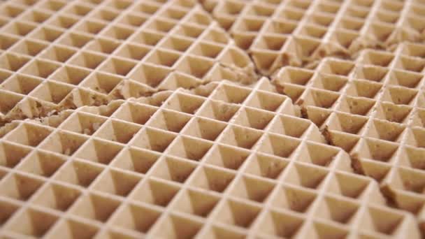 Superfície Waffle Texturizada Com Padrão Quadriculado Close Macro Dolly Atirou — Vídeo de Stock