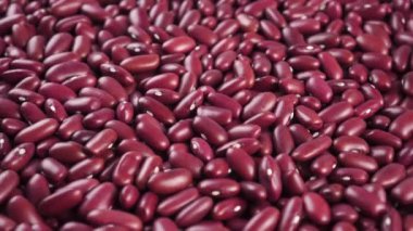 Çiğ kırmızı organik böbrek fasulyeleri kapanıyor. Döndürme