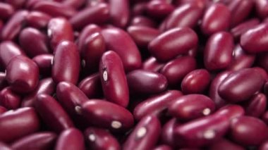 Çiğ kırmızı organik böbrek fasulyesi dökülüyor. Makro. Ağır çekim. Döndürme. Pişmemiş baklagiller