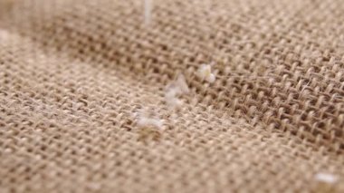 Patlamış kehribar taneleri. Yavaş çekimde kırsal bir çuval bezi üzerine kurumuş amaranthus tohumları dökülüyor. Makro. Dolly vurdu. Süper yiyecek konsepti