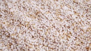 Amaranth patladı, yüksek proteinli kabarık tahıl gevreği bileşeni. Pseudocereal yiyecek, glütensiz. Makro. Döndürme