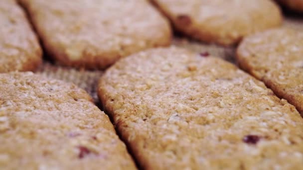Biscoitos Aveia Recém Assados Com Cranberries Empilhados Fileiras Macro Dolly — Vídeo de Stock