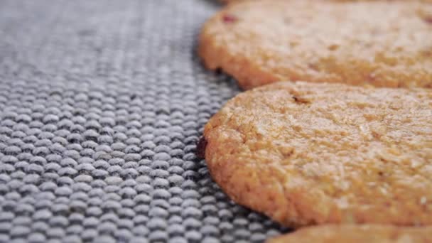 Sıraya Dizilmiş Taze Pişmiş Yulaf Bisküvileri Makro Dolly Vurdu Yulaflı — Stok video