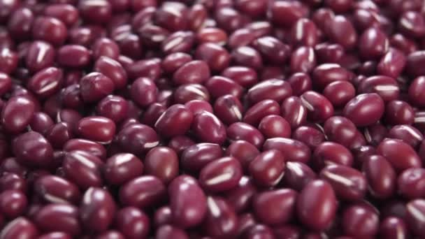 Uncooked Adzuki Red Beans Macro Dry Organic Legumes Rotation — Stock Video