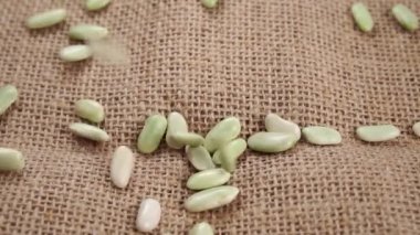 Pişmemiş Verdina fasulyesi (Asturias ve Galiçya 'dan) kırsal kabarık bir çuval bezinin üzerine düşüyor. Çiğ, kuru baklagiller. Ağır çekim. Geleneksel İspanyol mutfağı. Sağlıklı organik gıda