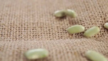 Yeşil verdina fasulyeleri kaba bir çuval bezi üzerine düşüyor. Kurutulmamış organik baklagiller yakın plan. İspanya, Asturias ve Galiçya 'da geleneksel mutfak. Dolly vurdu. Makro