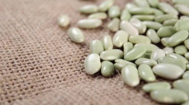 Pişmemiş yeşil Verdina fasulyesi (Asturias ve Galiçya 'dan) kırsal kaba bir çuval bezi üzerinde yakın plan. Çiğ, kuru baklagiller. Geleneksel İspanyol mutfağı. Sağlıklı organik yiyecekler. Dolly vurdu.