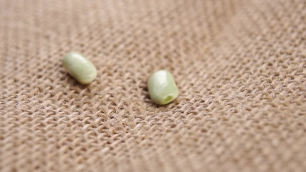 Dry Green Verdina Beans Fall Rustic Kitchen Rough Burlap Crumbs — Stock Video