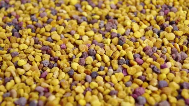 Healthy Bee Pollen Grain Macro Rotation — Stock Video