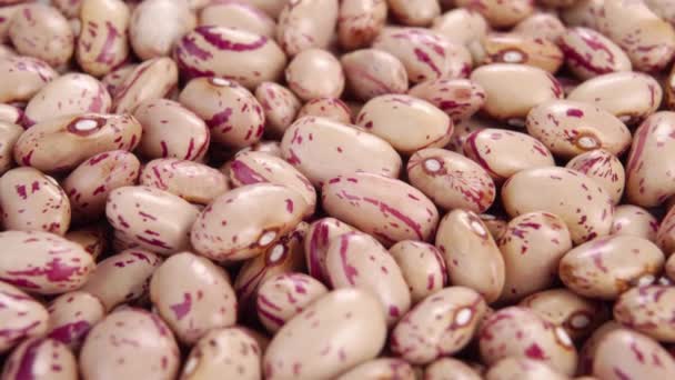 Cranberry Pinto Beans Heap Dry Raw Legumes Macro Slow Rotation — Stock Video