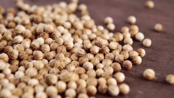 Semințele Cilantro Uscate Închid Macro Rotaţie Lentă Condimentarea Boabelor Coriandru — Videoclip de stoc