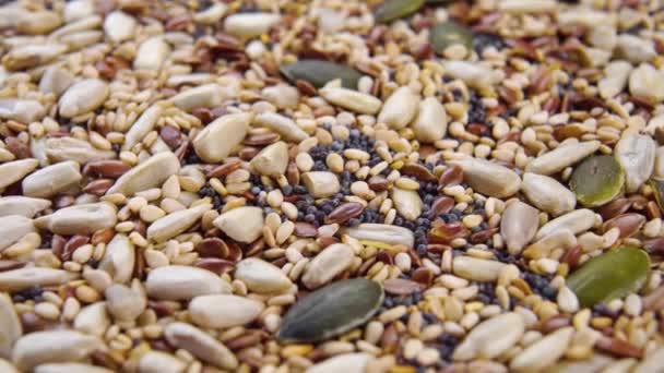 Mezcla Cereales Con Chía Seca Lino Semillas Calabaza Macro Rotación — Vídeo de stock