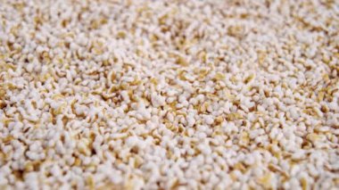 Amaranth tahıl patlattı. Amaranthus kabarık tohumları. Glütensiz. Makro. Yavaş döndürme