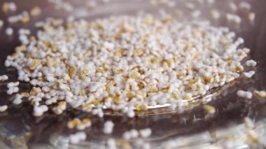 Parlak tabakta amaranth taneleri patlattım. Kurutulmuş amaranthus tohumu. Makro. Döndürme. Süper yiyecek konsepti