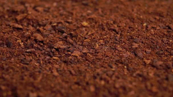 Roasted Hancur Bubuk Akar Chicory Kacang Herbal Instan Coklat Makro — Stok Video