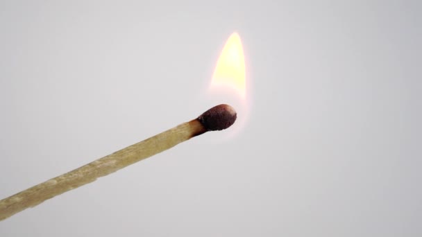 Encendido Quema Coinciden Sobre Fondo Blanco Cera Empapada Ebullición Macro — Vídeos de Stock