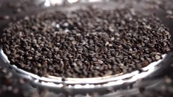 Semi Chia Secchi Superfood Piatto Integratori Cereali Omega Macro Rotazione — Video Stock
